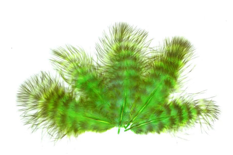 Piume Marabou Grizzly - Go - Fish