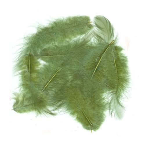 Piume Metz soft hackle - Go - Fish