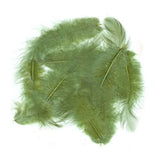 Piume Metz soft hackle - Go - Fish