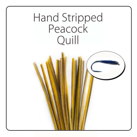 Polish Quill Hand Stripped Peacock Quills - Go - Fish
