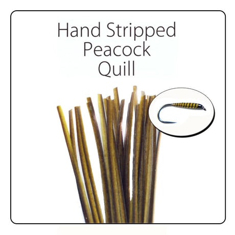 Polish Quill Hand Stripped Peacock Quills - Go - Fish