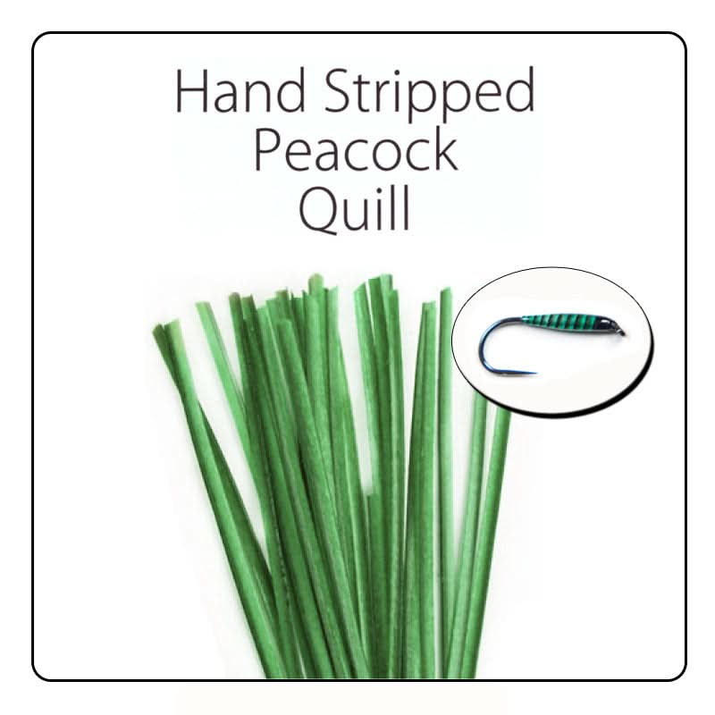 Polish Quill Hand Stripped Peacock Quills - Go - Fish