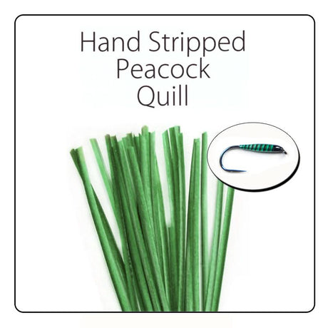 Polish Quill Hand Stripped Peacock Quills - Go - Fish
