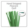 Polish Quill Hand Stripped Peacock Quills - Go - Fish