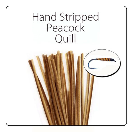 Polish Quill Hand Stripped Peacock Quills - Go - Fish
