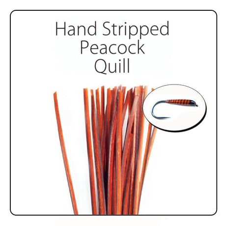 Polish Quill Hand Stripped Peacock Quills - Go - Fish