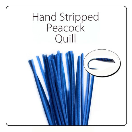 Polish Quill Hand Stripped Peacock Quills - Go - Fish