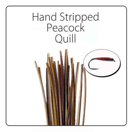 Polish Quill Hand Stripped Peacock Quills - Go - Fish