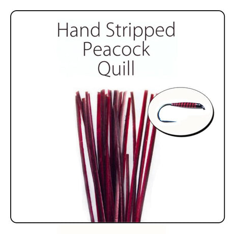 Polish Quill Hand Stripped Peacock Quills - Go - Fish