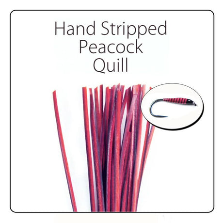 Polish Quill Hand Stripped Peacock Quills - Go - Fish