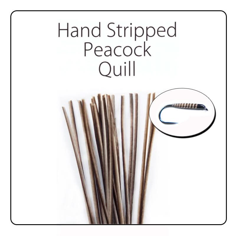 Polish Quill Hand Stripped Peacock Quills - Go - Fish