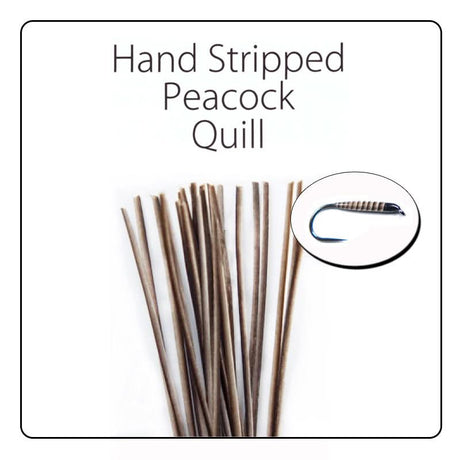 Polish Quill Hand Stripped Peacock Quills - Go - Fish