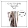 Polish Quill Hand Stripped Peacock Quills - Go - Fish