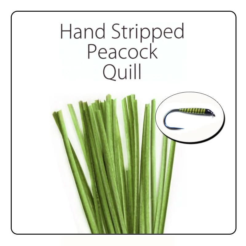 Polish Quill Hand Stripped Peacock Quills - Go - Fish