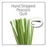 Polish Quill Hand Stripped Peacock Quills - Go - Fish