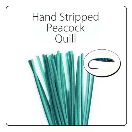 Polish Quill Hand Stripped Peacock Quills - Go - Fish