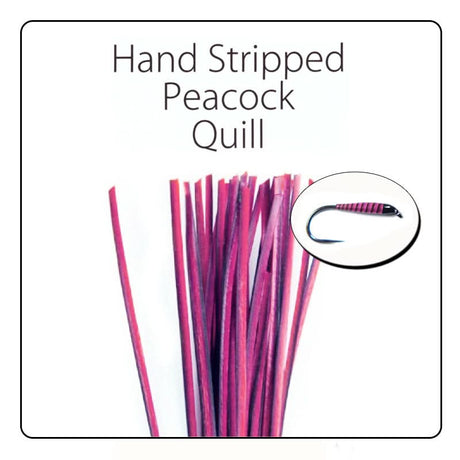 Polish Quill Hand Stripped Peacock Quills - Go - Fish