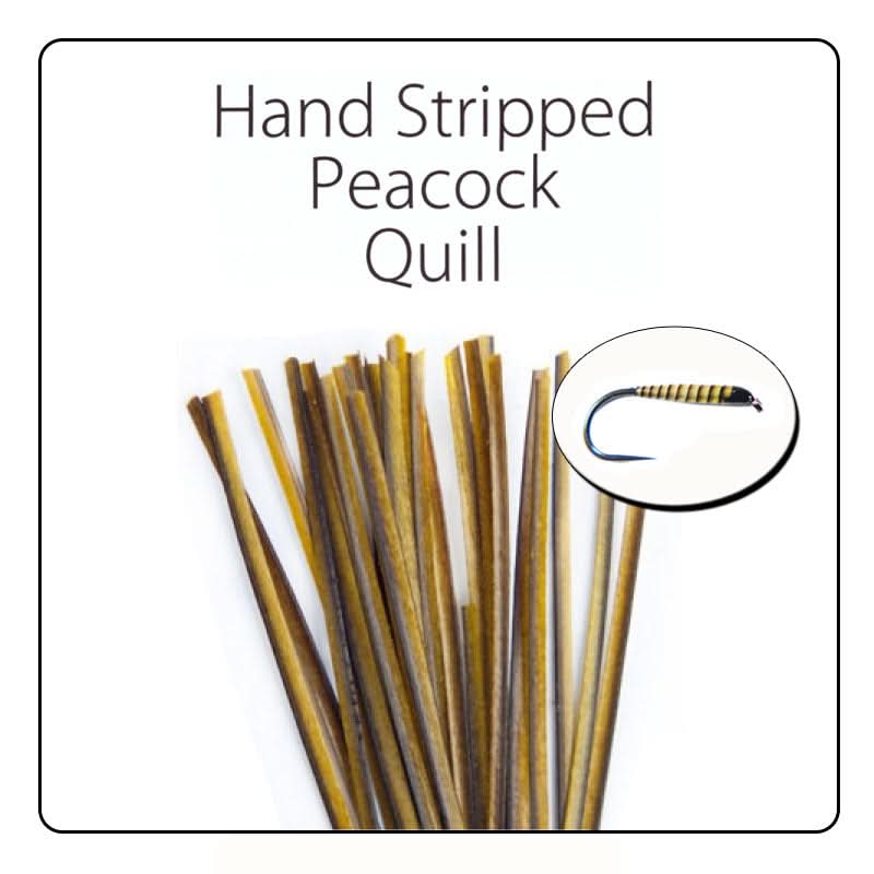 Polish Quill Hand Stripped Peacock Quills - Go - Fish