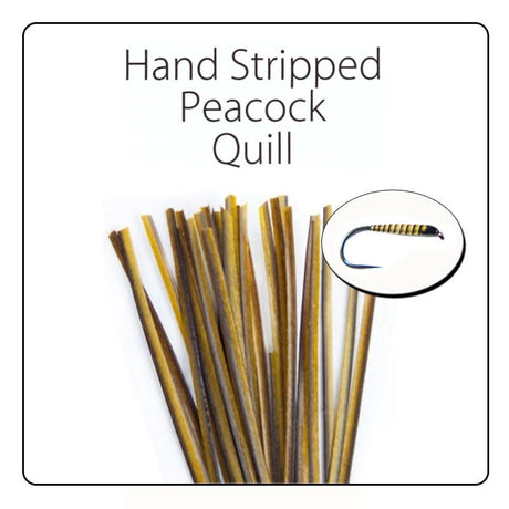 Polish Quill Hand Stripped Peacock Quills - Go - Fish