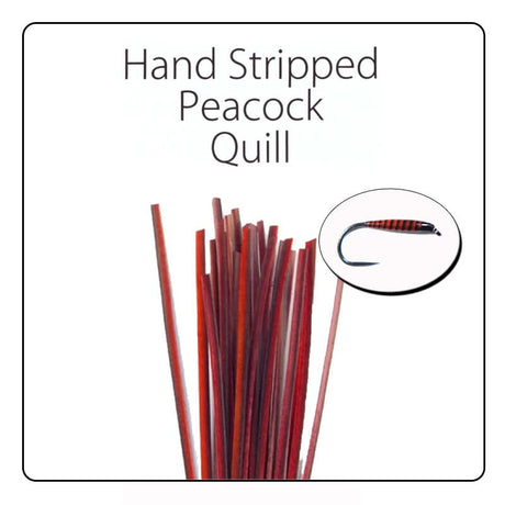 Polish Quill Hand Stripped Peacock Quills - Go - Fish