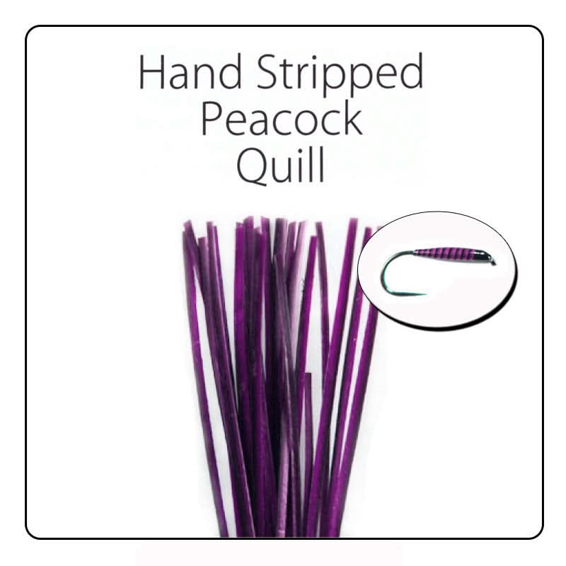 Polish Quill Hand Stripped Peacock Quills - Go - Fish