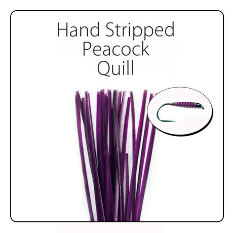 Polish Quill Hand Stripped Peacock Quills - Go - Fish