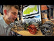 Speedster S Ember – Produktvideo