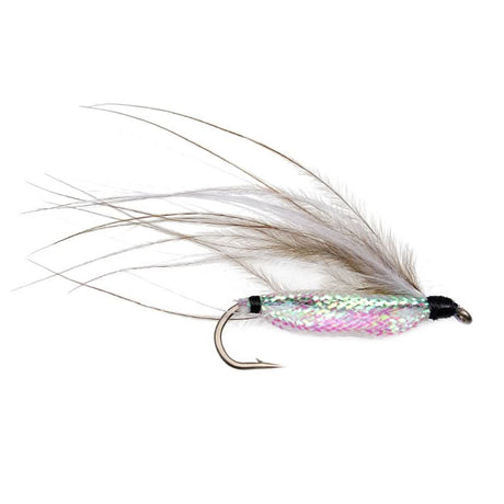 Richards Shiner Minnow Brown - Go - Fish