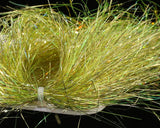 Saltwater Blend Angel Hair - Go - Fish