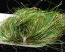 Saltwater Blend Angel Hair - Go - Fish