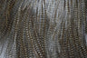 Sella di Gallopardo - Coq de Leon - Go - Fish