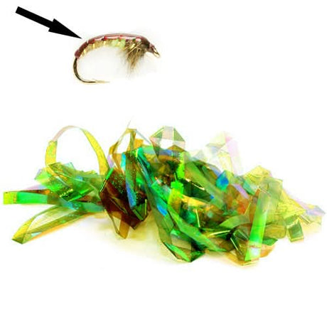 Shellback - Go - Fish