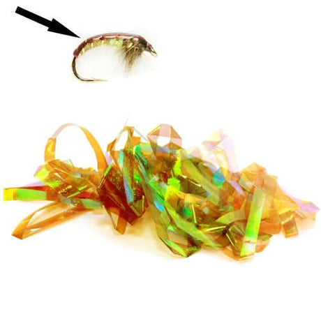 Shellback - Go - Fish