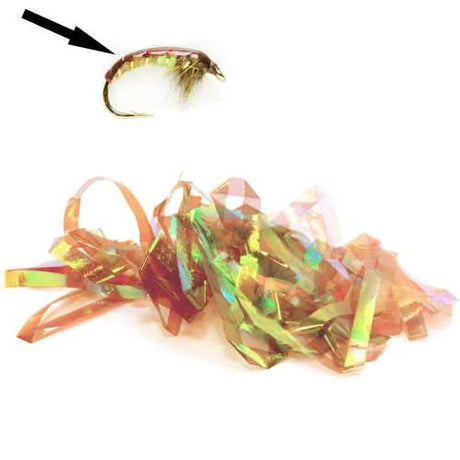 Shellback - Go - Fish