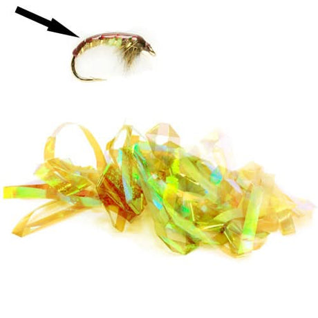 Shellback - Go - Fish