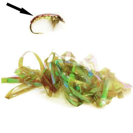 Shellback - Go - Fish