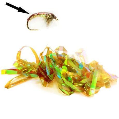 Shellback - Go - Fish