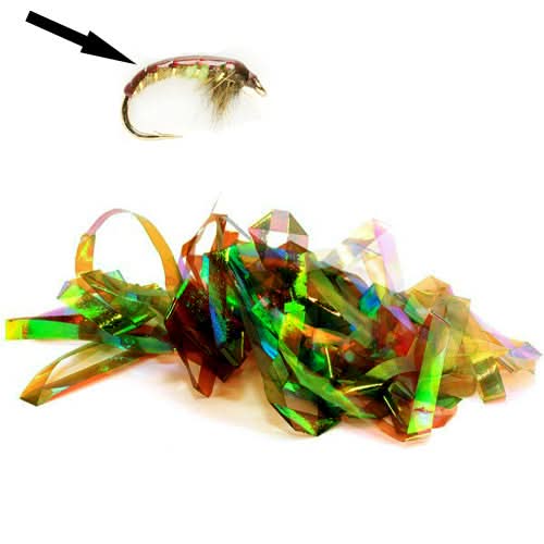 Shellback - Go - Fish