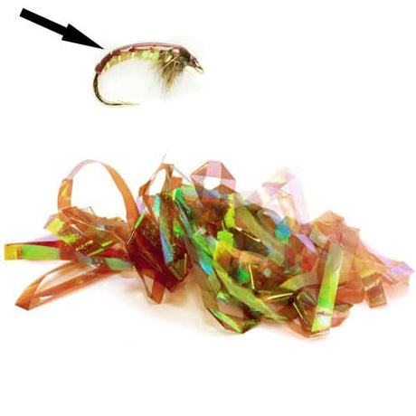 Shellback - Go - Fish