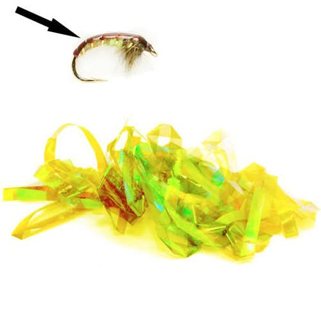Shellback - Go - Fish