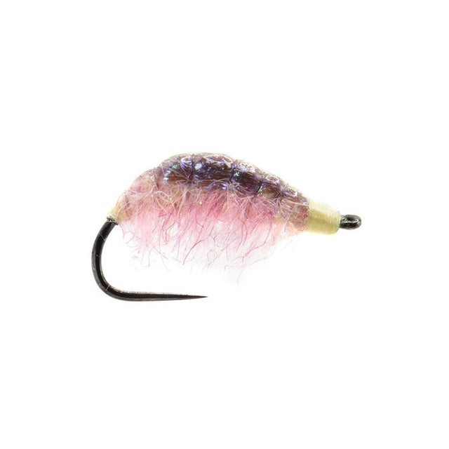 Shrimp Nymph Pink