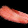 Slinky Hair - Go - Fish