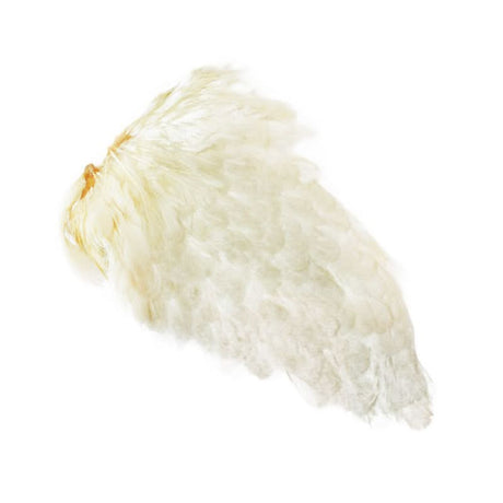 Spalla di gallina - Hen Saddle - Go - Fish