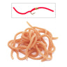 Squirmy Worms - Go - Fish
