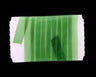 Stretch Glass - Go - Fish