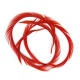Stripped Goose Biots (Biot d`oca) - Go - Fish