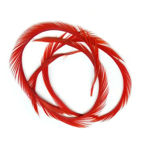 Stripped Goose Biots (Biot d`oca) - Go - Fish
