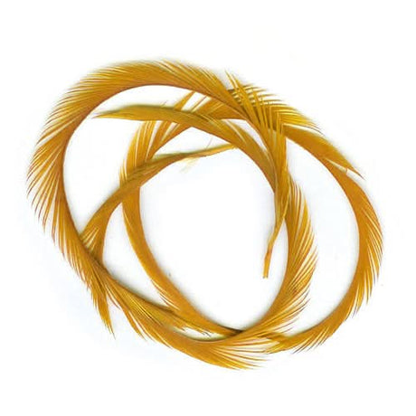 Stripped Goose Biots (Biot d`oca) - Go - Fish