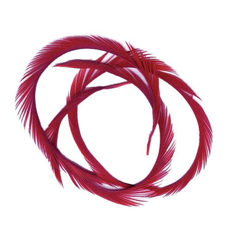 Stripped Goose Biots (Biot d`oca) - Go - Fish