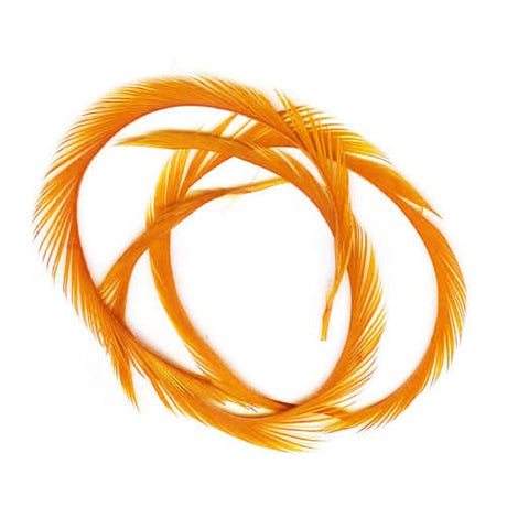 Stripped Goose Biots (Biot d`oca) - Go - Fish